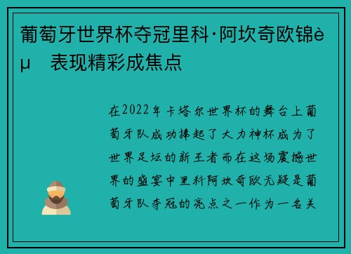 葡萄牙世界杯夺冠里科·阿坎奇欧锦赛表现精彩成焦点