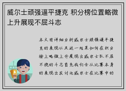 威尔士顽强逼平捷克 积分榜位置略微上升展现不屈斗志